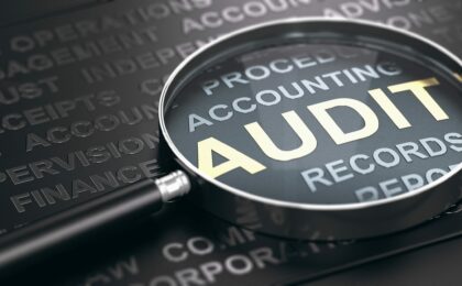 How Hedgebook Audit Helps Auditors