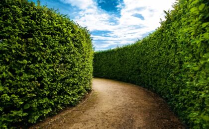 Less talk, more hedging